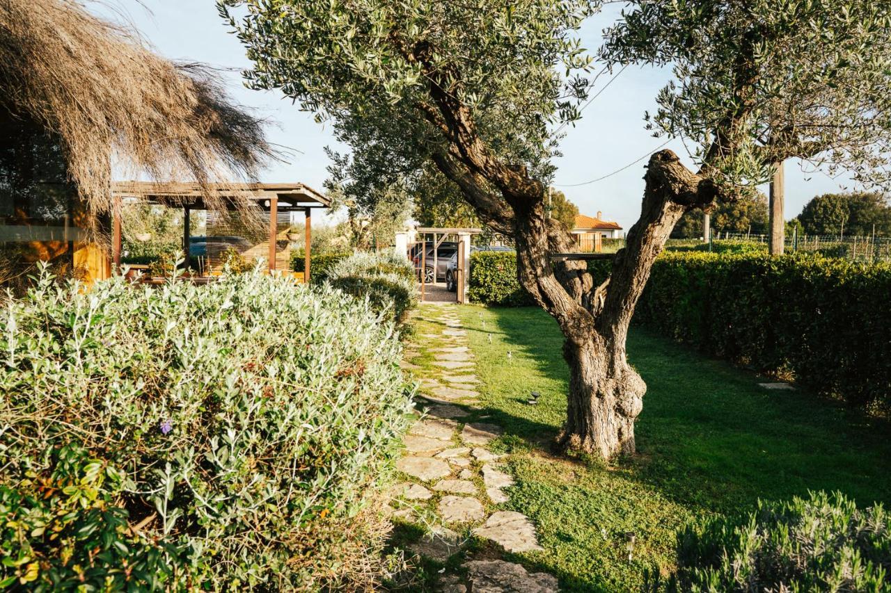 Agriturismo Sweet Cottage Marina di Grosseto Luaran gambar