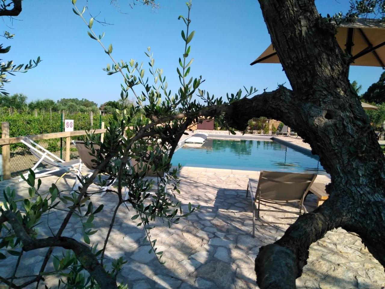 Agriturismo Sweet Cottage Marina di Grosseto Luaran gambar